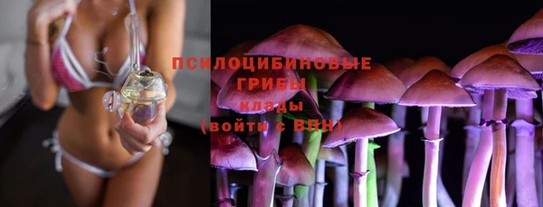 герыч Абаза